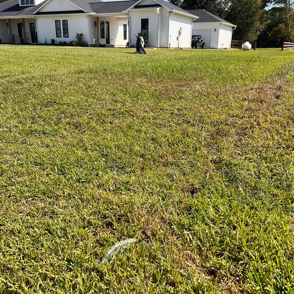 Vibrant green lawn being watered by a sprinkler using soft water from a United Water Softeners system. Professional water softener installation delivers the best water in Houston — safe for lawns, plants, irrigation, and everything in your home.